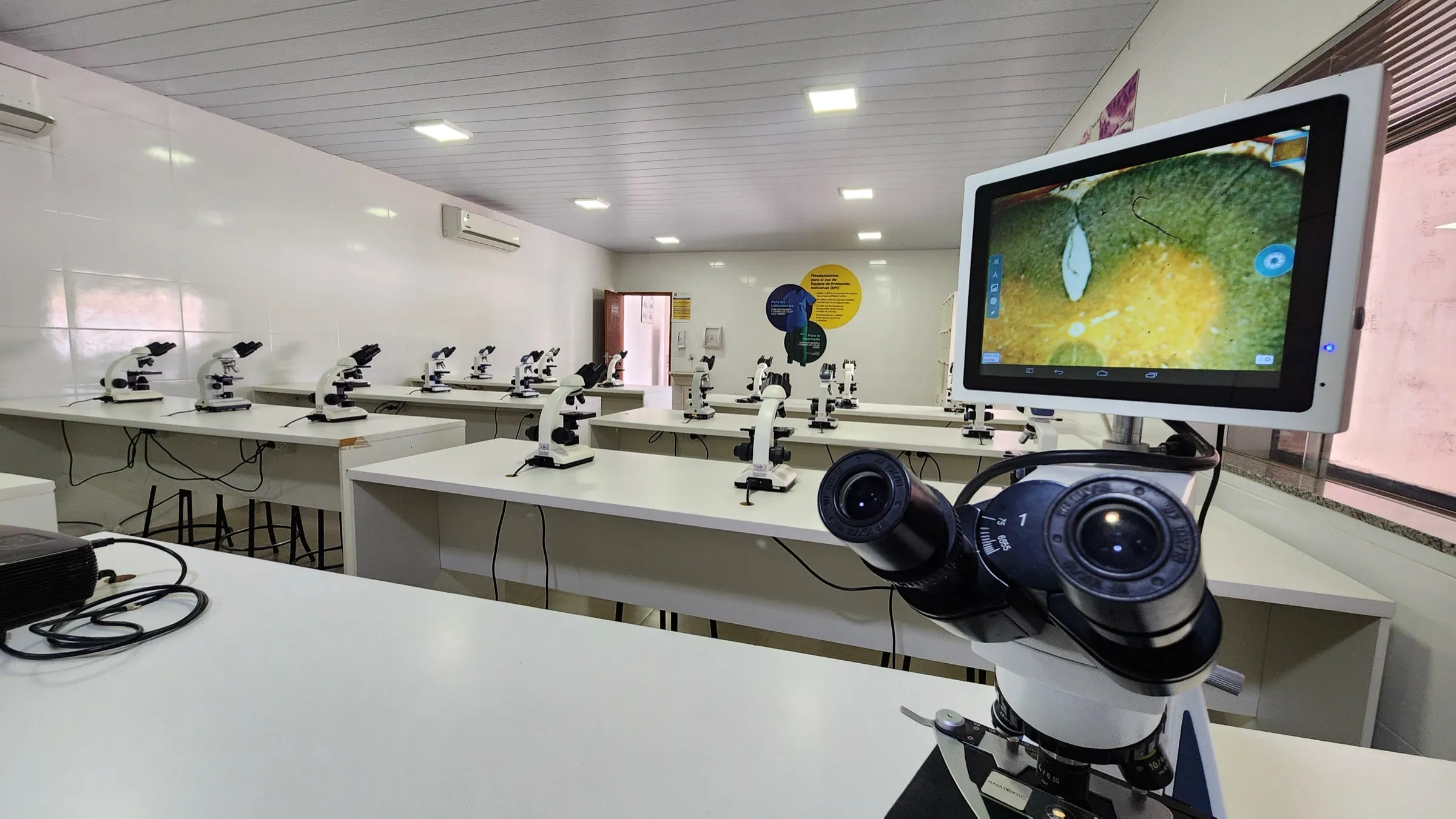 Microscopio conectado a un monitor que muestra una lámina de tejido, en el laboratorio de la UASS-PJC
