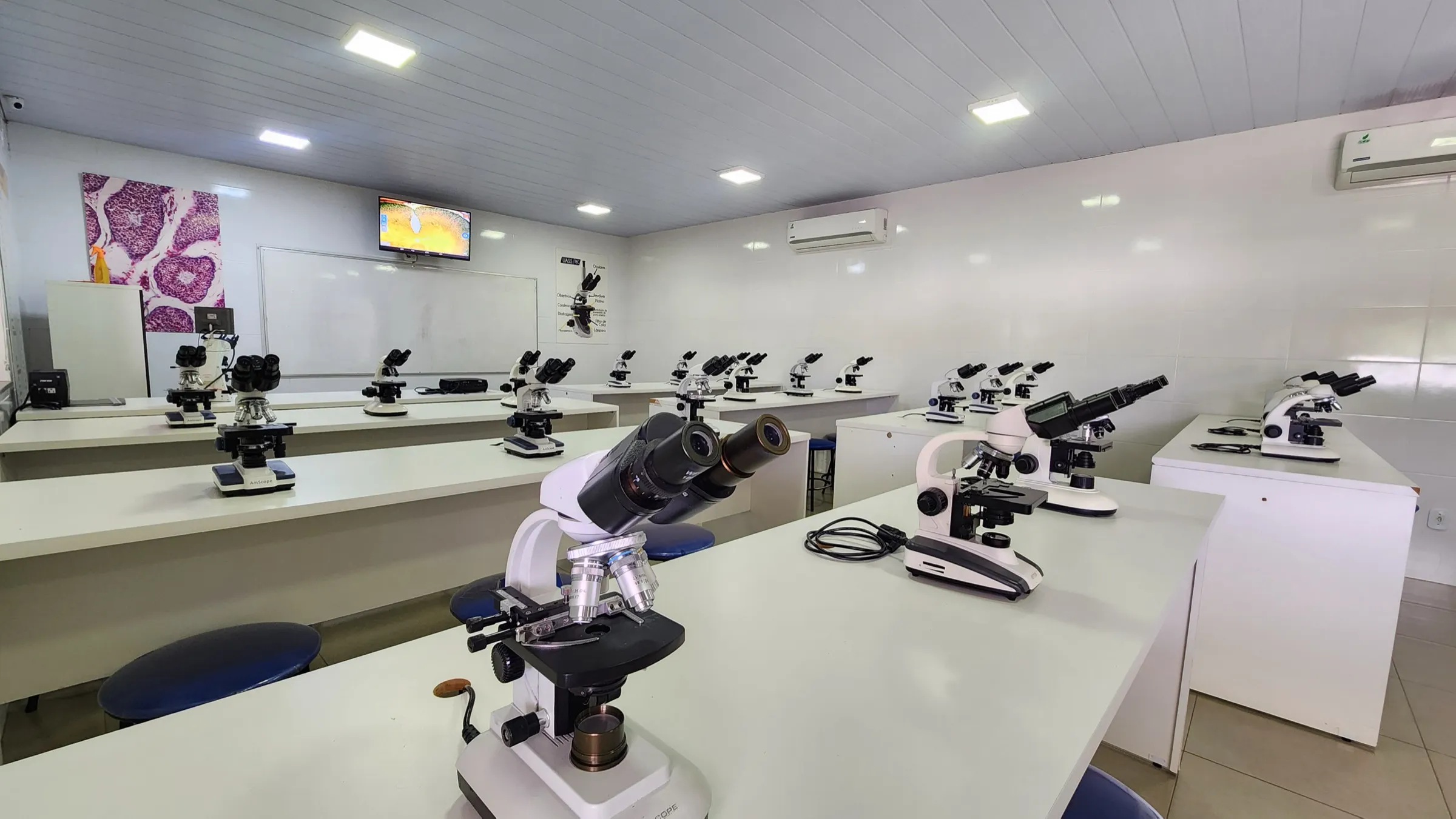 Microscopio binocular en primer plano en el laboratorio de la UASS-PJC, con la sala de mesadas al fondo